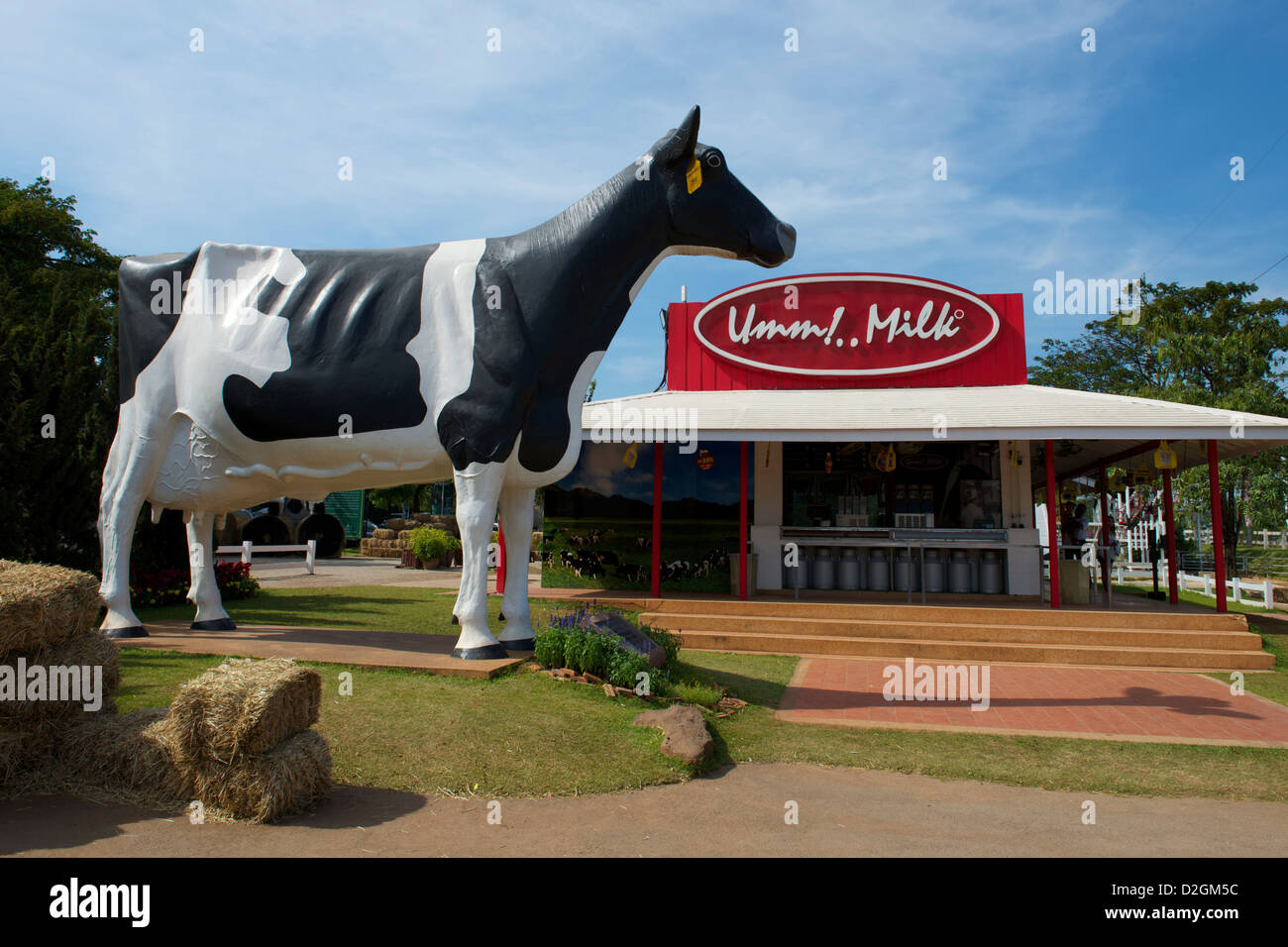 Chokchai Farm Thailand Stockfoto