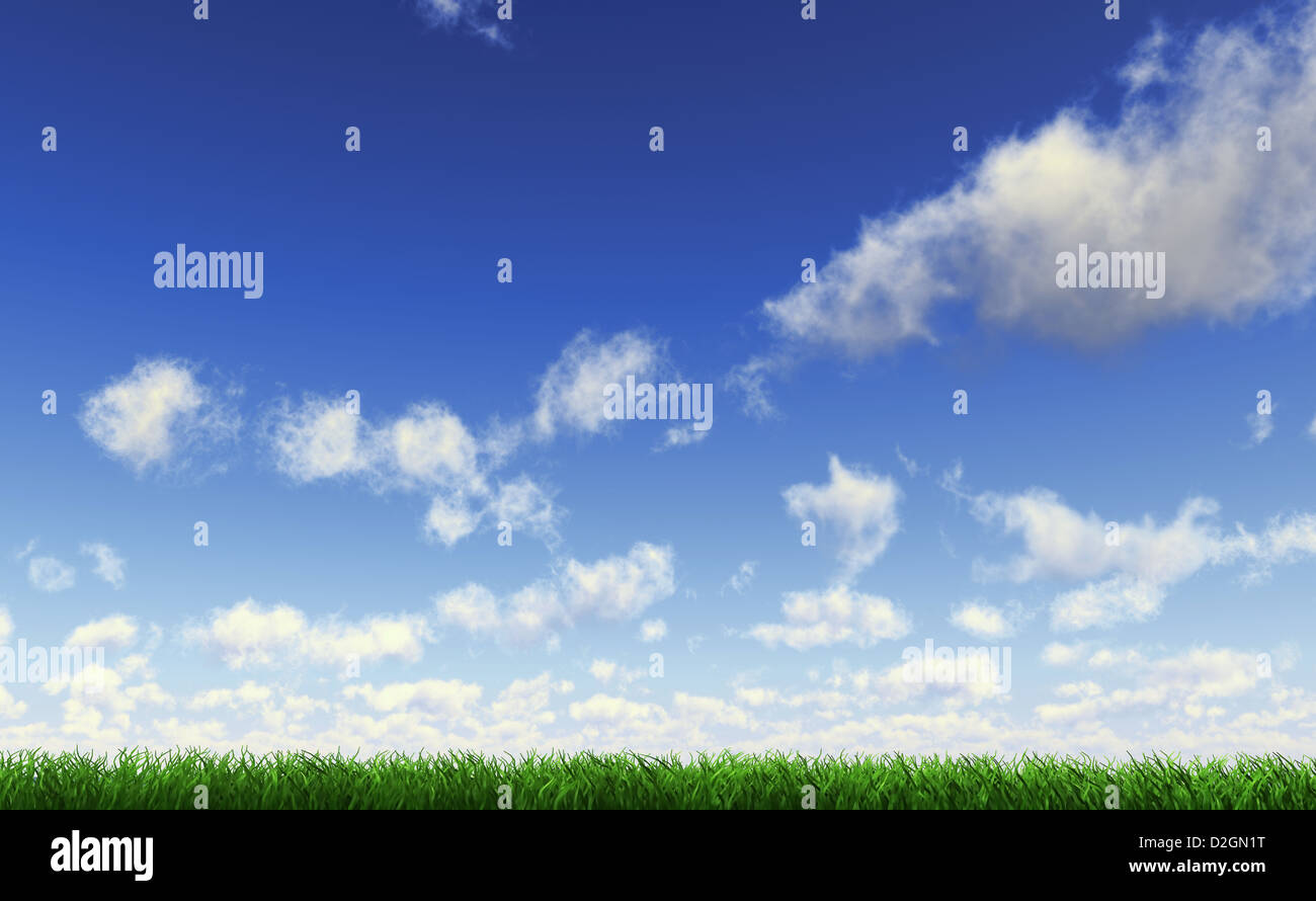 Grass betrachtet von einer Seite am Boden, mit blauem Himmel mit Cumulus-Wolken. Stockfoto