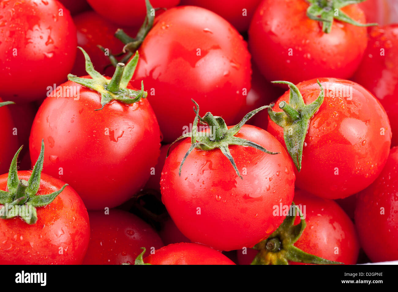 Vielzahl von reife Tomaten Stockfoto