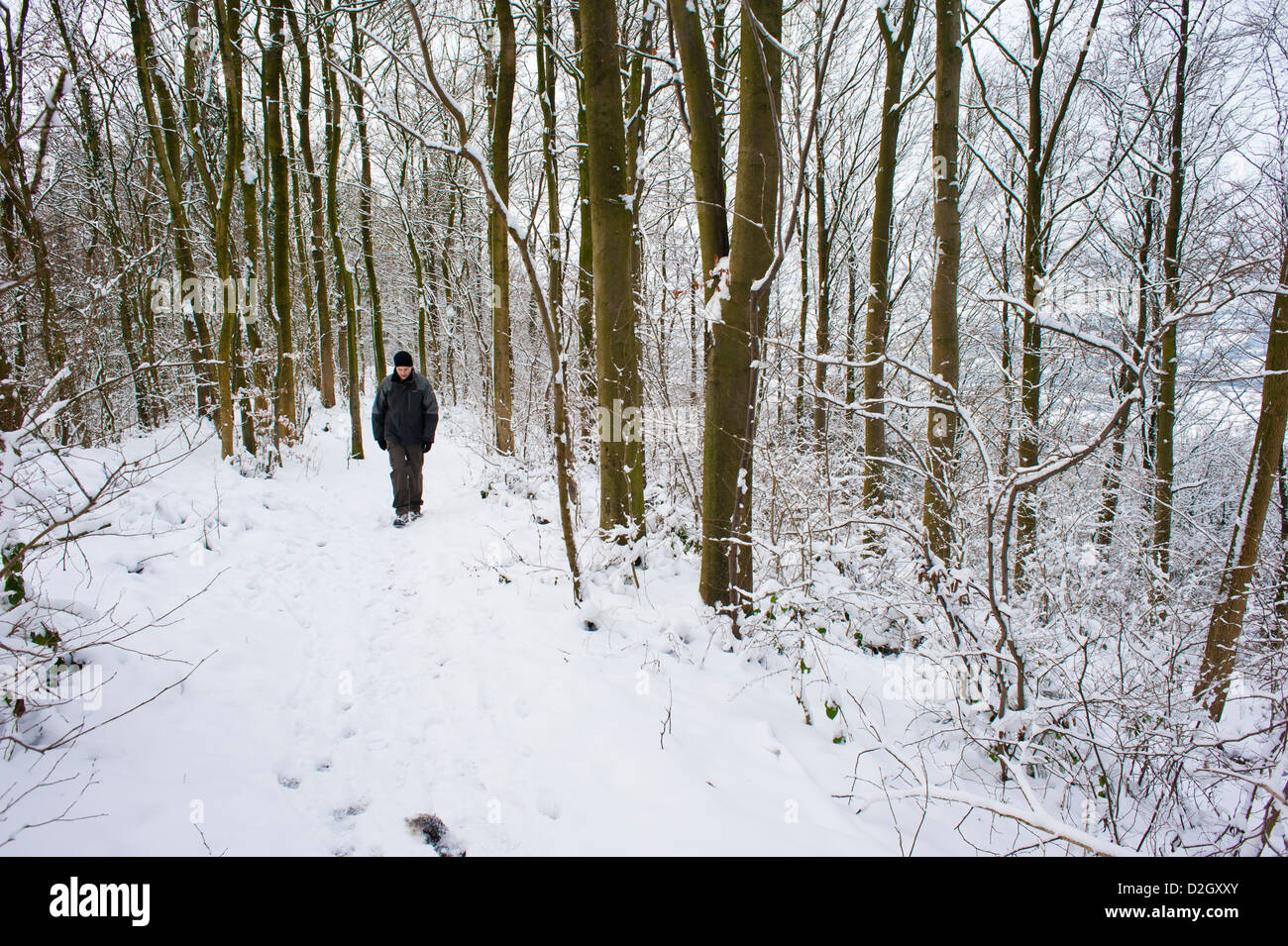 Walker auf Wenlock Edge im Schnee Shropshire England UK Stockfoto