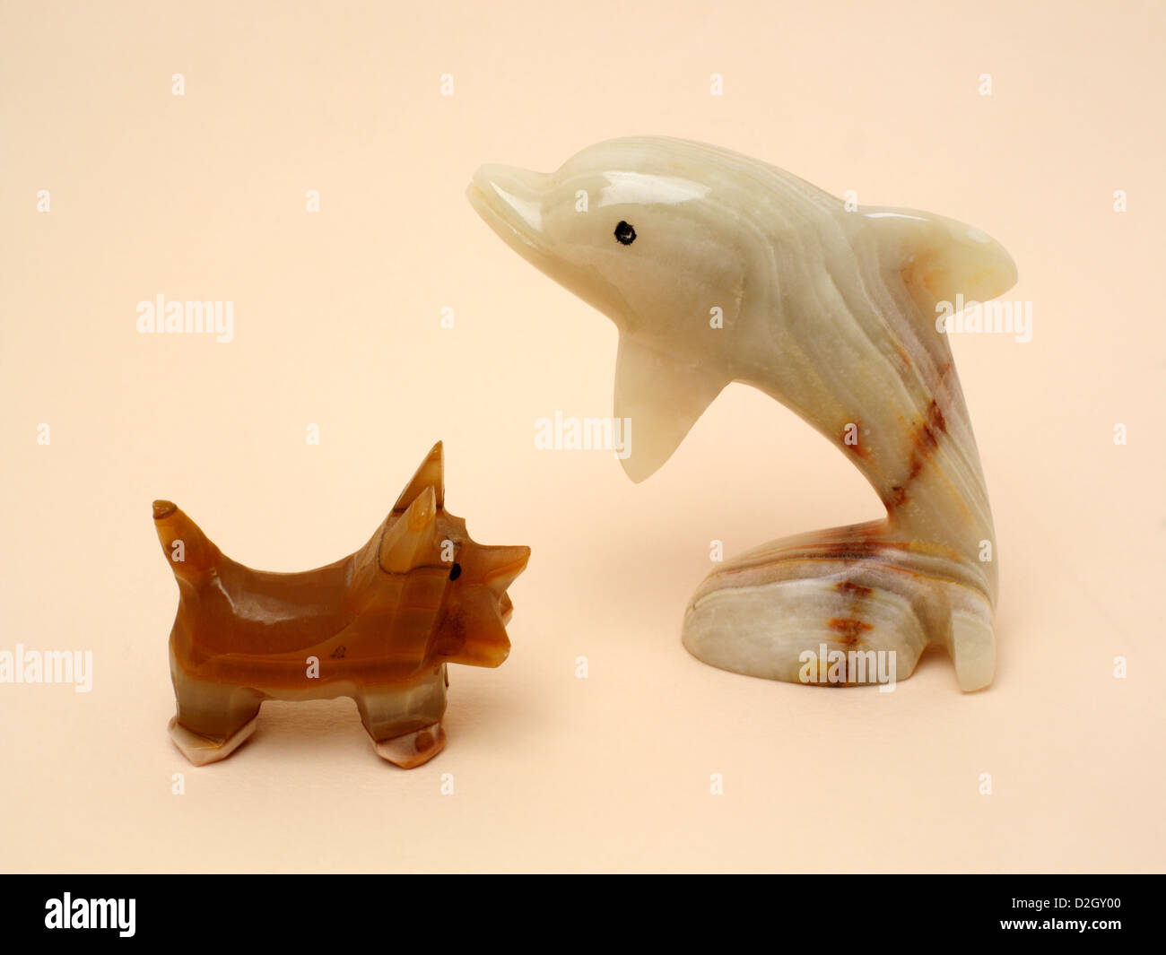 Onyx-Hund-Delphin Stockfoto