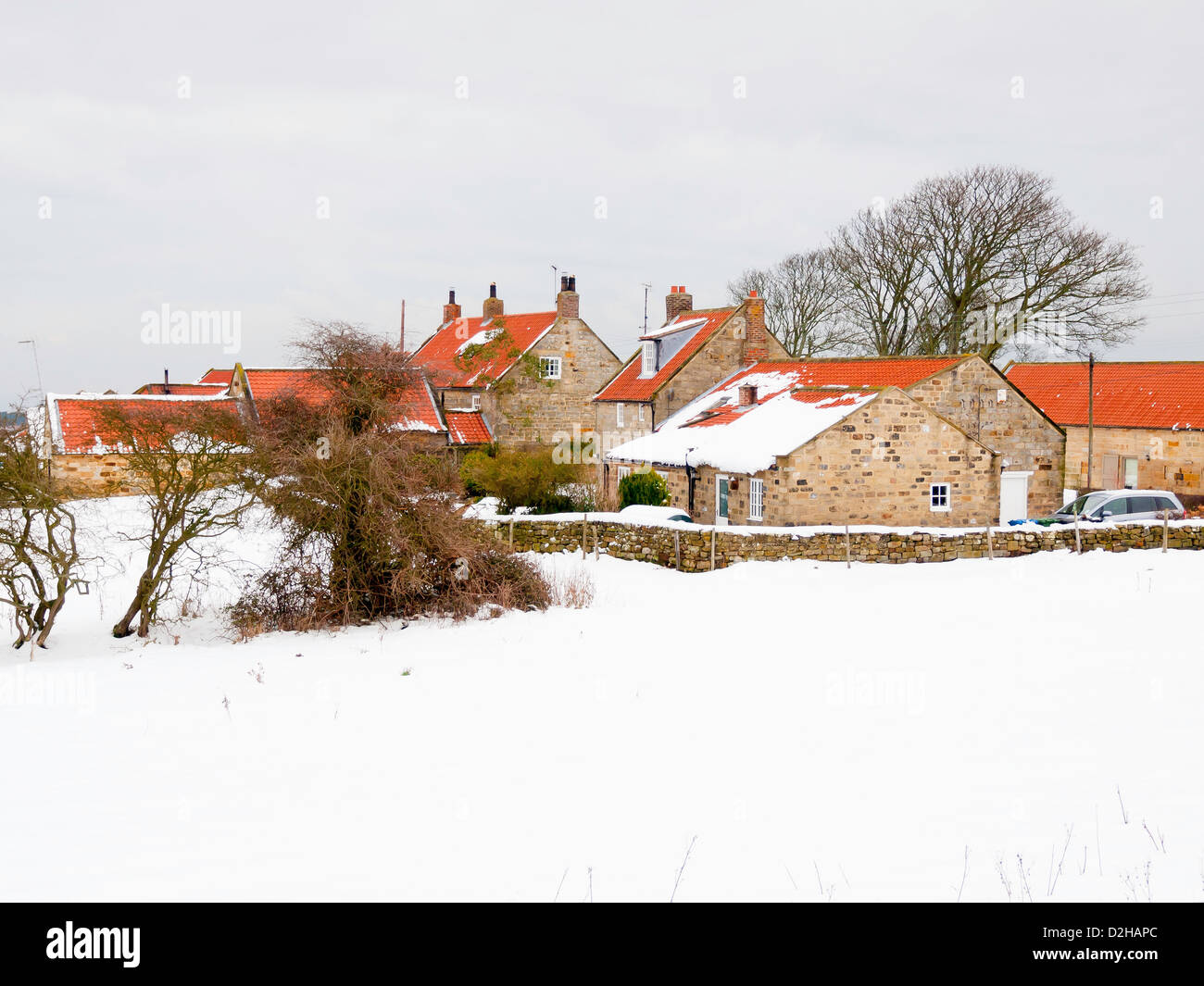 Traditionelle Stein und Fliesen Land Dorfhäuser in Ellerby in der Nähe von Whitby North Yorkshire im winter Stockfoto