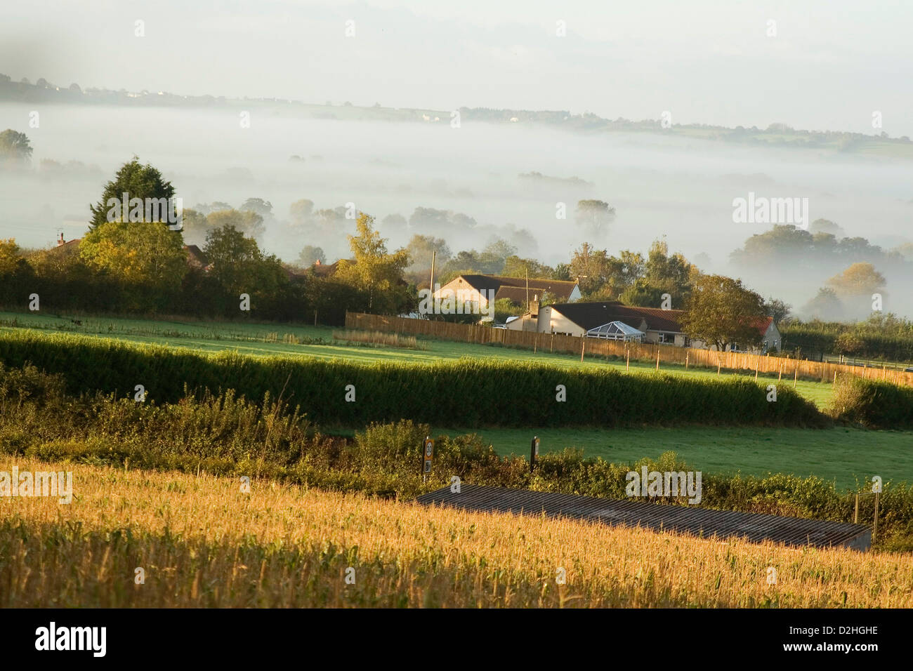 Neblige Tal an einem frühen Morgen Somerset, 18. Januar 2011 Stockfoto