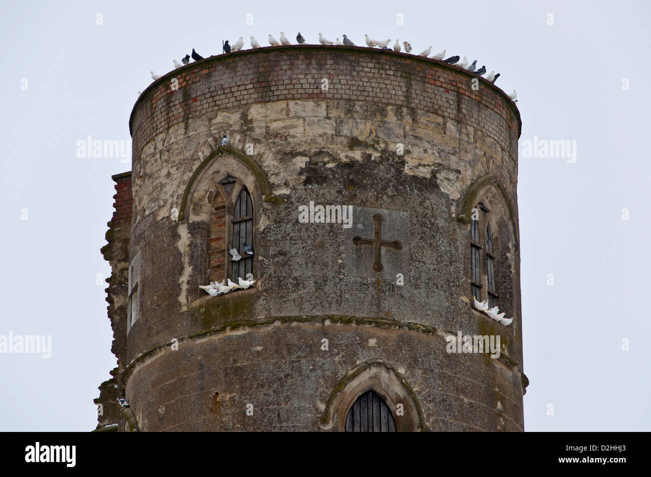 Wilde Tauben und Tauben sitzen auf Torheit Turm Stockfoto