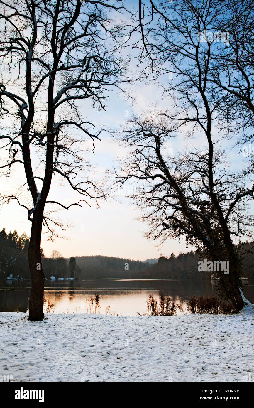 Verschneiten Wintertag am Sturmtaucher, Wiltshire Stockfoto