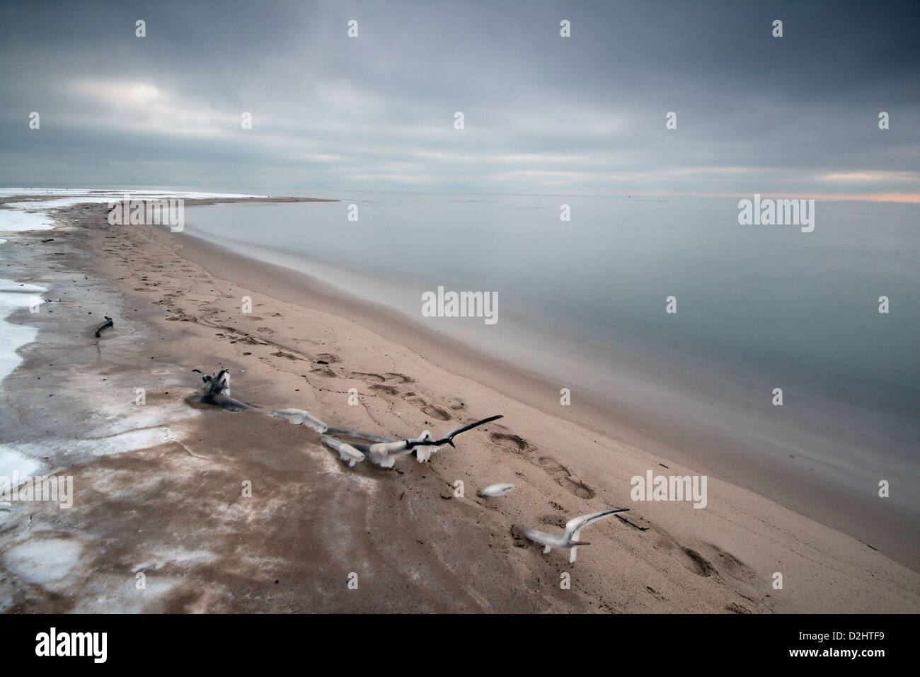Fußabdrücke auf einem gefrorenen Strand im Norden von Polen - Halbinsel Hel, Ostseeküste. Stockfoto