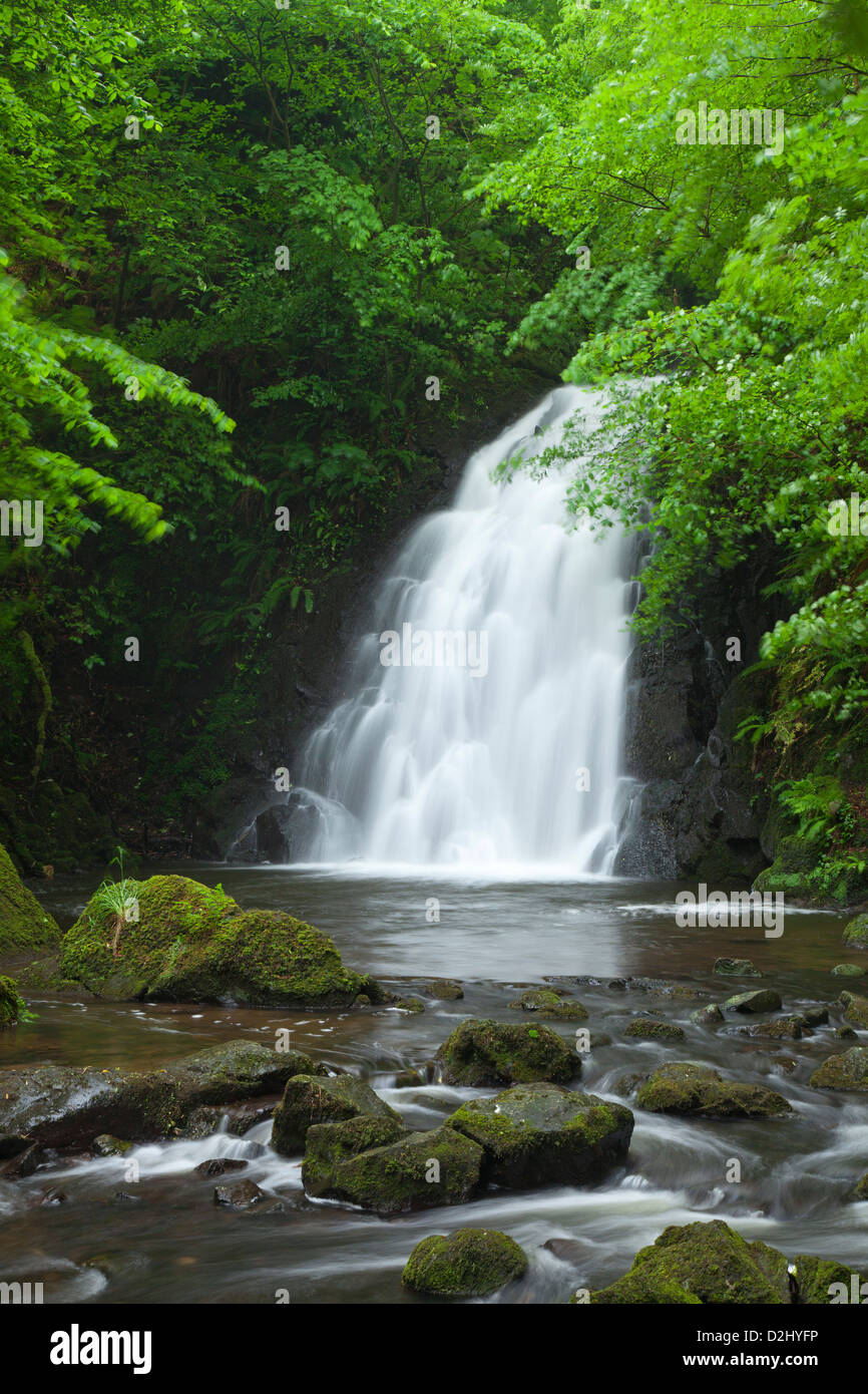 Glenoe Wasserfall, County Antrim, Nordirland. Stockfoto