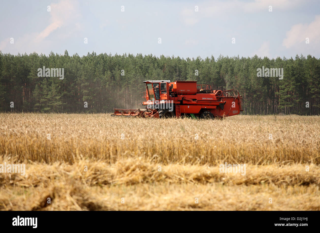 Babcy, Weißrussland, Mähdrescher einer Kolchose in der Getreideernte Stockfoto