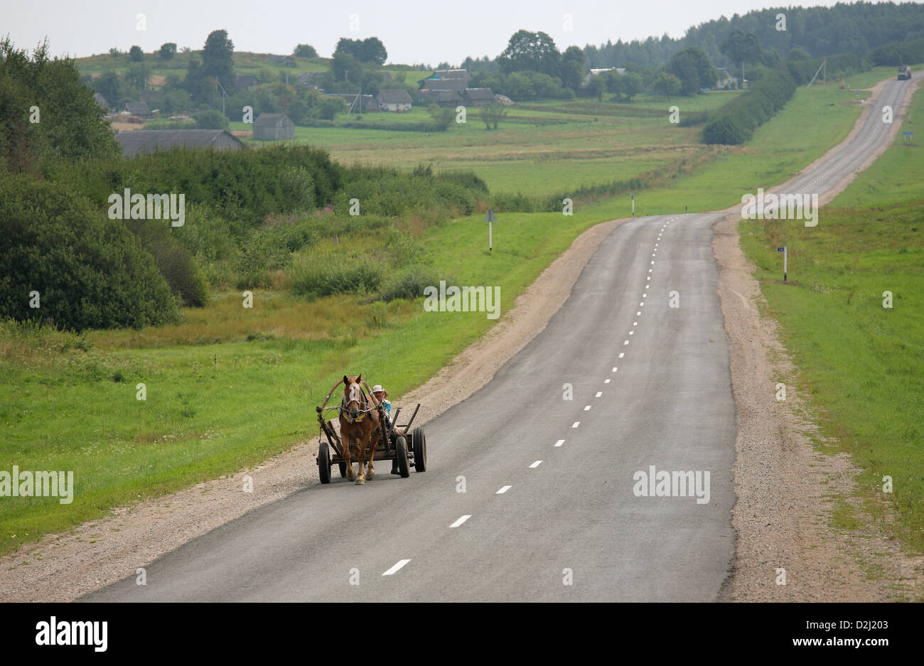 Uneliski, Belarus, Pferdewagen auf einer Landstraße Stockfoto