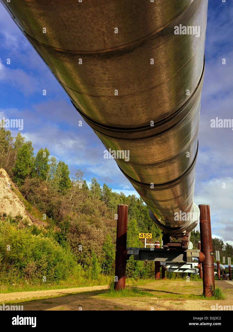 Trans-Alaska-Erdöl-Pipeline fotografiert bei Fairbanks Alaska Stockfoto