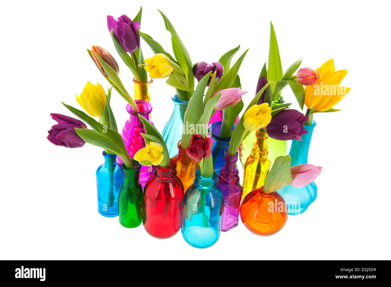 Bunte Tulpen nacheinander in verschiedenen Glasvasen Stockfoto