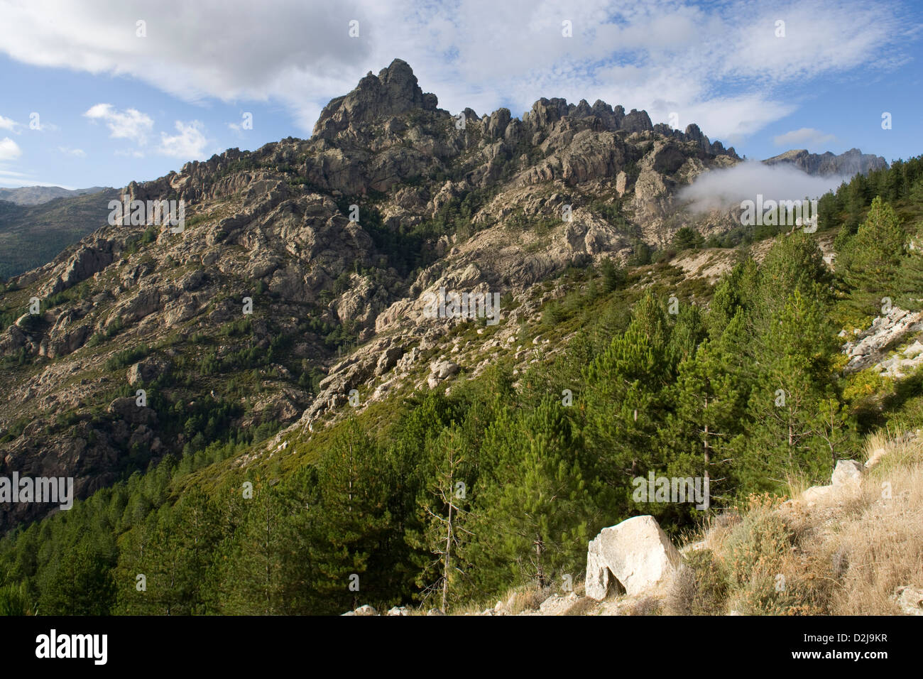 Korsika: Aiguilles de Bavella Stockfoto