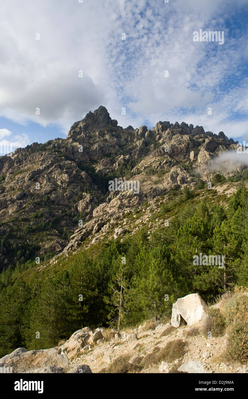 Korsika: Aiguilles de Bavella Stockfoto