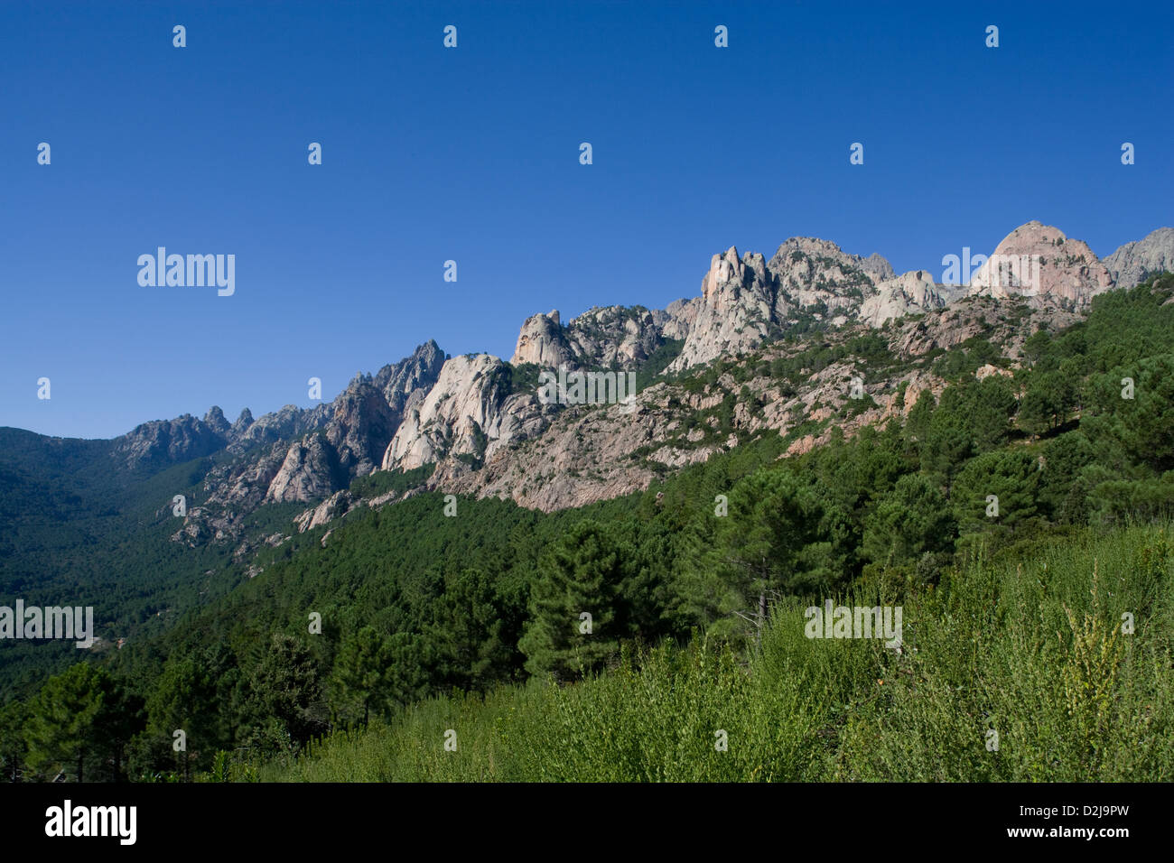 Korsika: Aiguilles de Bavella Stockfoto