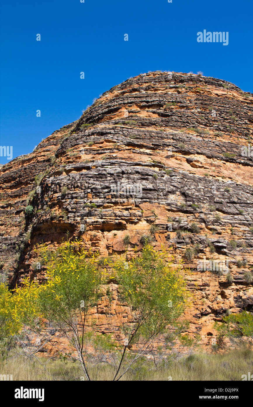 Bungle Bungles, Australien Stockfoto