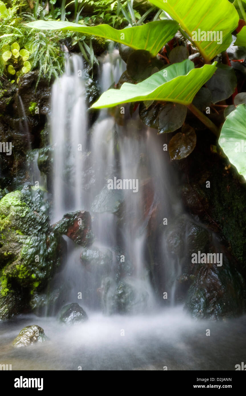 Miniatur-Brunnen, botanischen Gärten, Singapur Stockfoto
