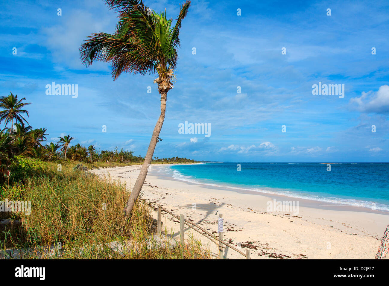 Bahamas, Eleuthera Insel Popon Strand Stockfoto