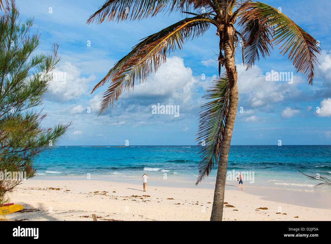 Bahamas, Eleuthera Insel Popon Strand Stockfoto