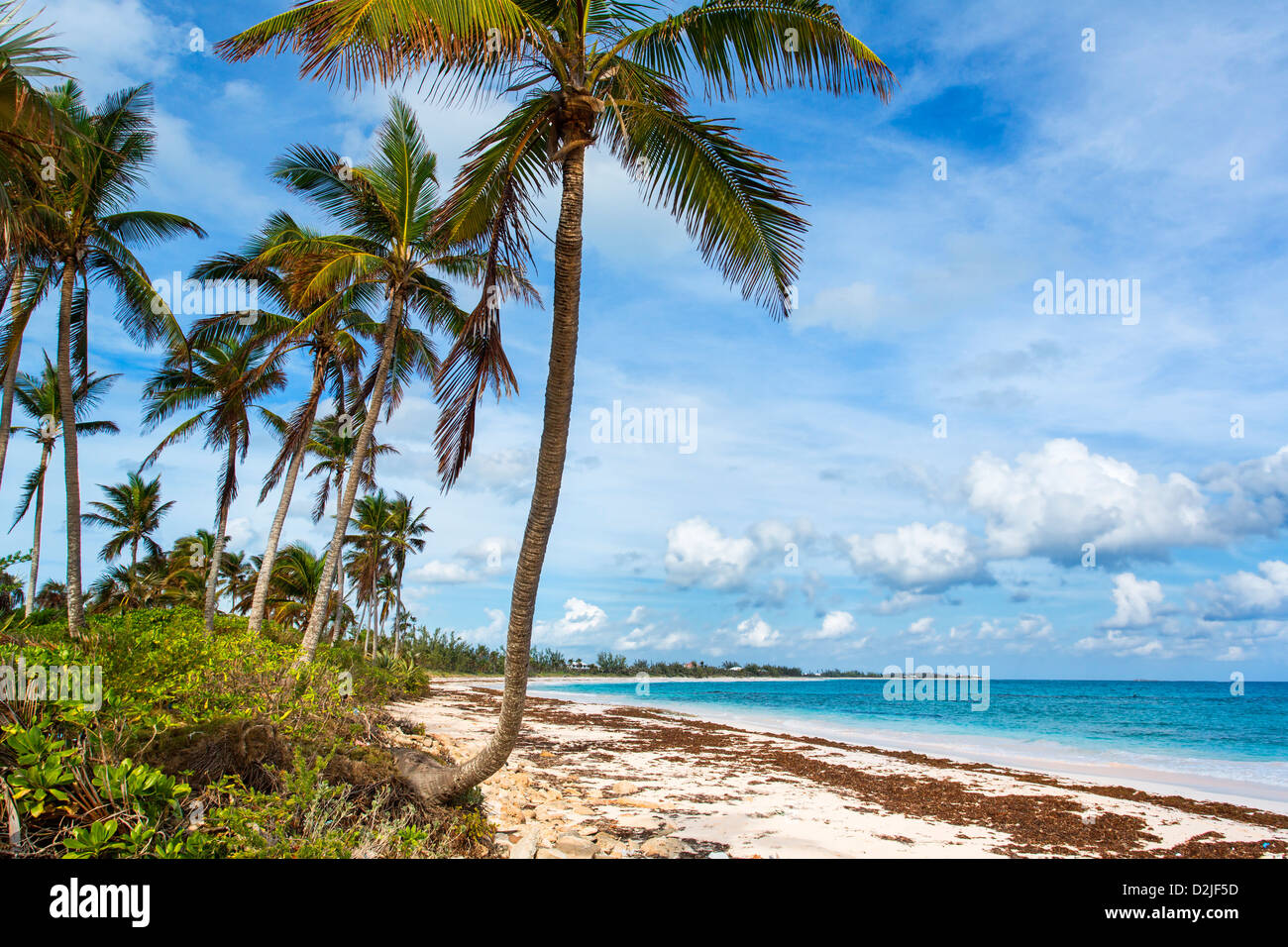 Bahamas, Eleuthera Insel, Double Bay Beach Stockfoto