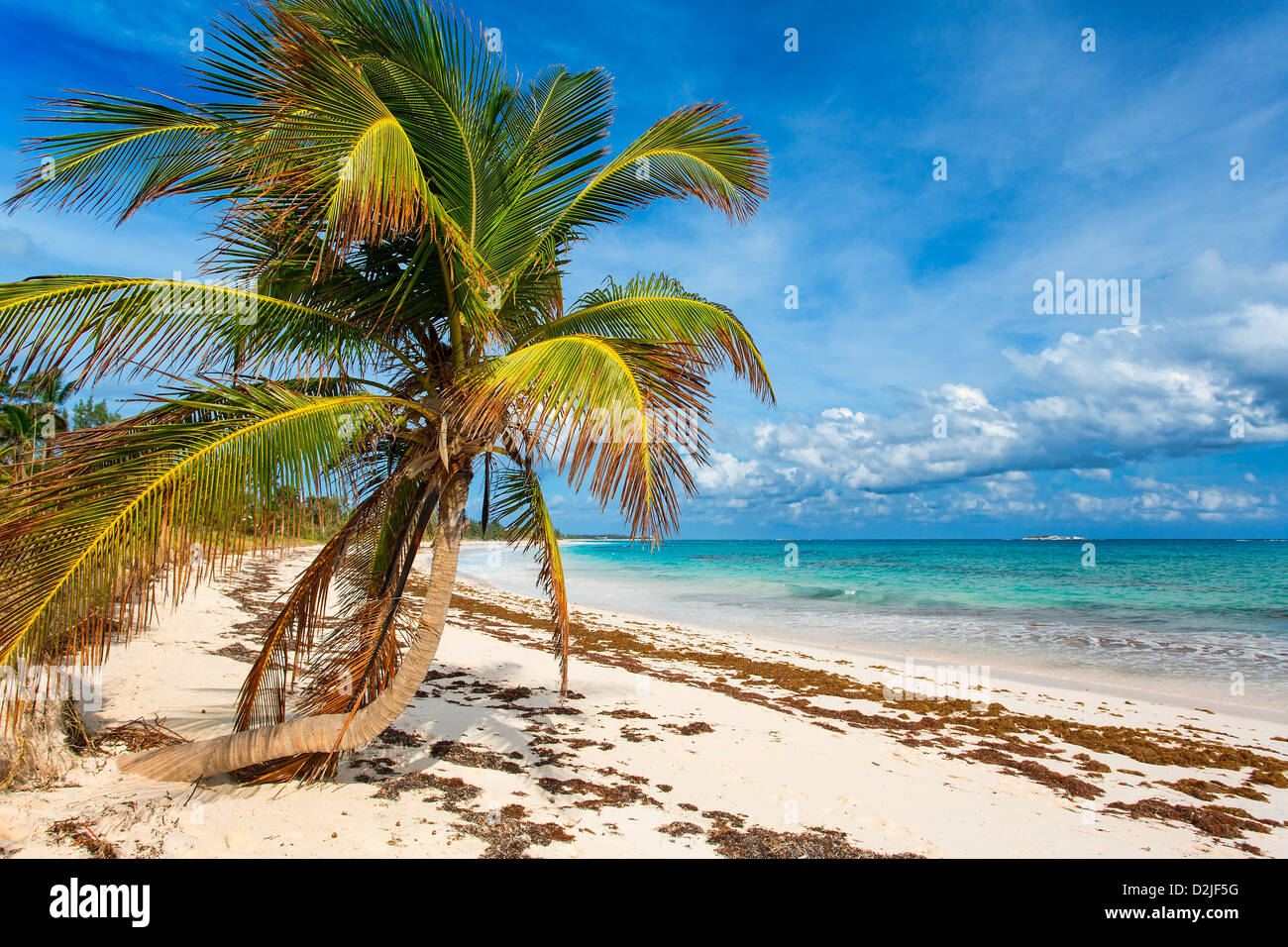 Bahamas, Eleuthera Insel, Double Bay Beach Stockfoto