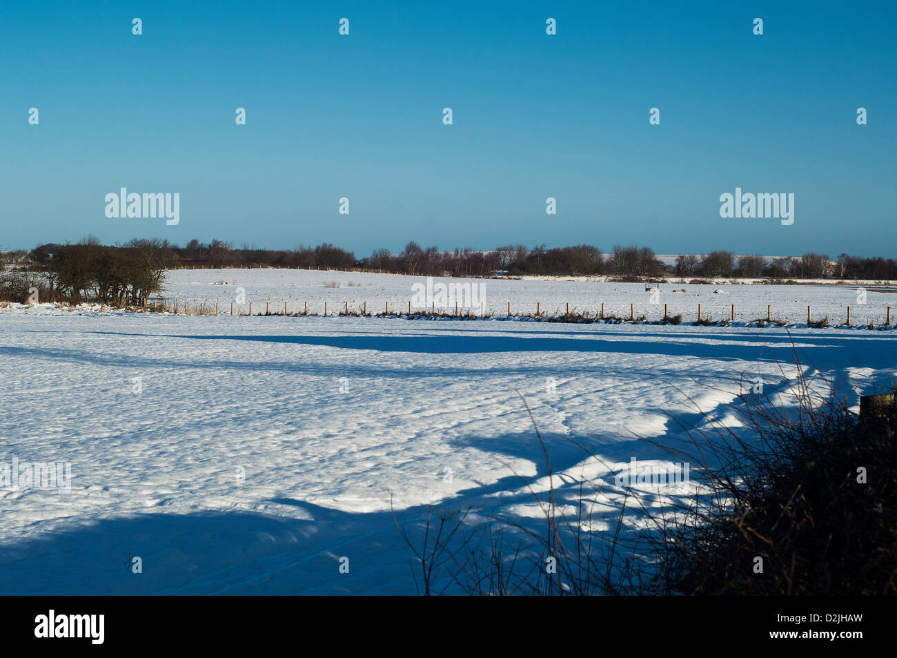 Schnee auf Felder Stockfoto