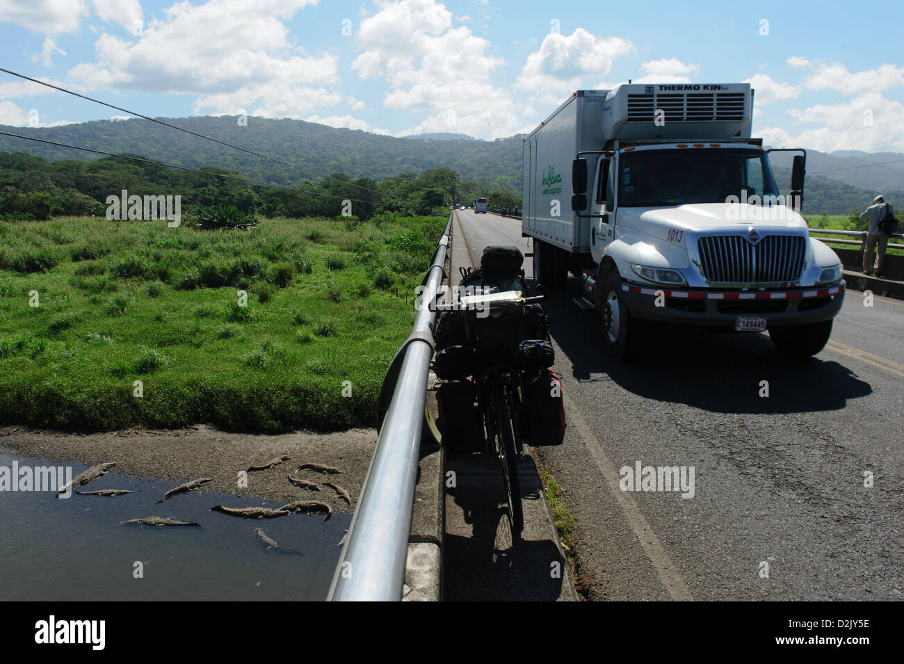 Amerikanische Krokodile (Crocodylus Acutus) gesehen von einer Brücke über den Fluss Tarcoles. Route 34, Provinz Puntarenas. Costa Rica. Stockfoto