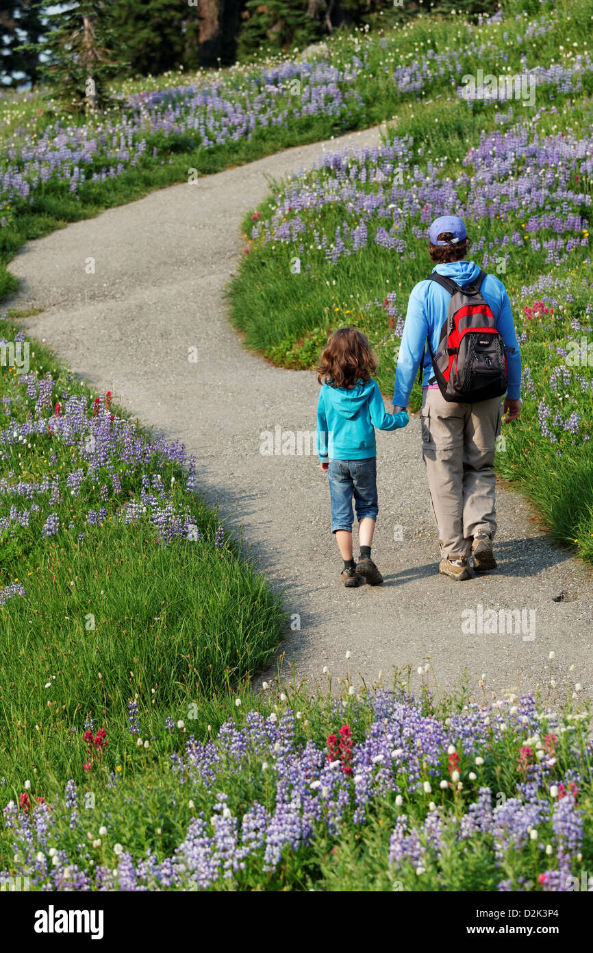 Mutter und Tochter Wandern auf Dead Horse Creek Trail, Paradise, Mount Rainier Nationalpark, Washington, USA Stockfoto