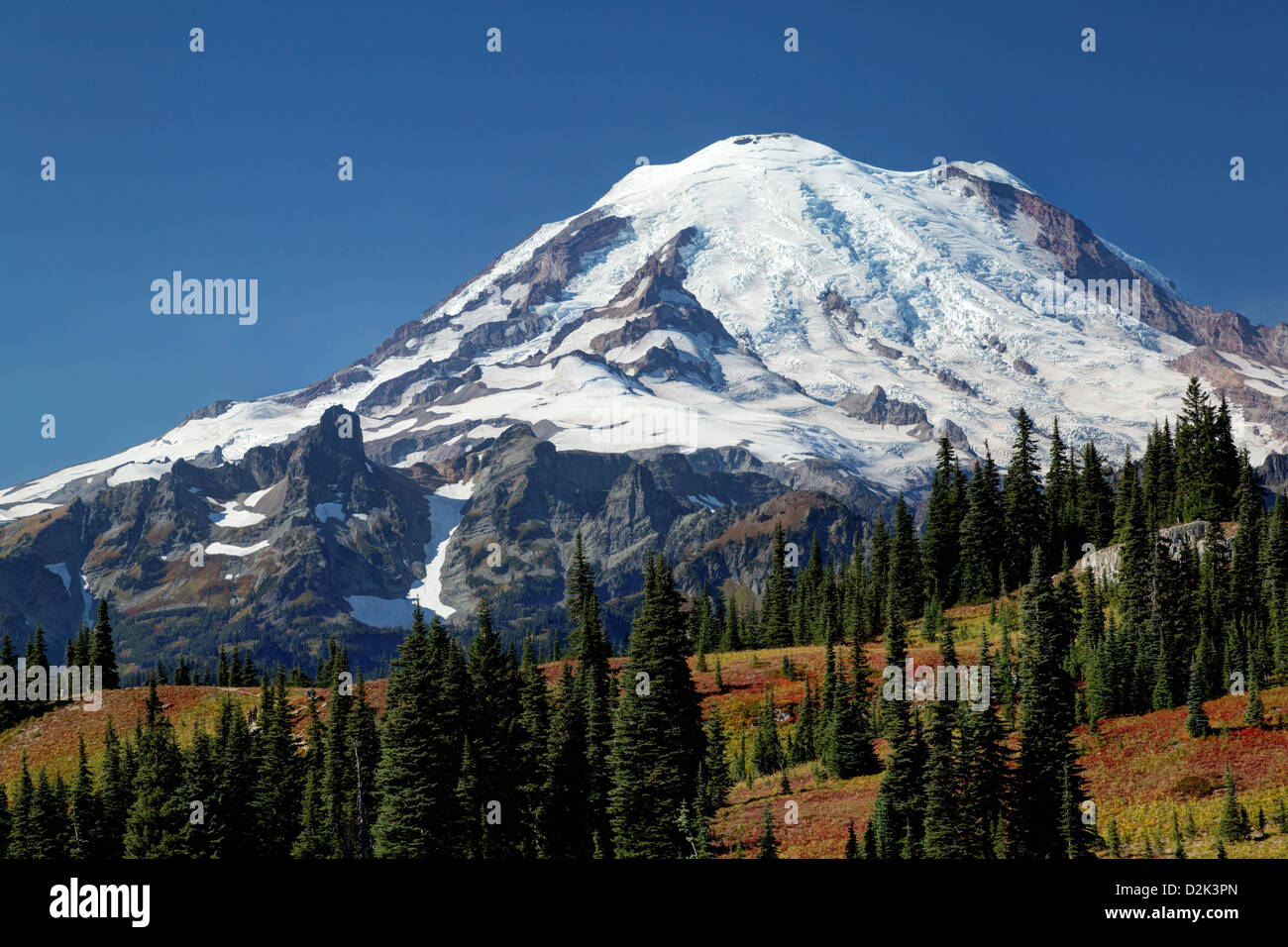 Mount Rainier oben im Herbst bunten Wiesen, Naches Peak Loop Trail, Mount-Rainier-Nationalpark, Washington, USA Stockfoto