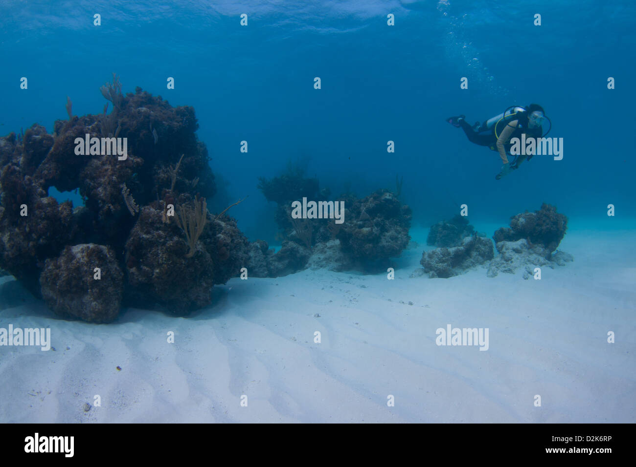 Weibliche Taucher über ein Korallenriff auf den Bahamas Stockfoto