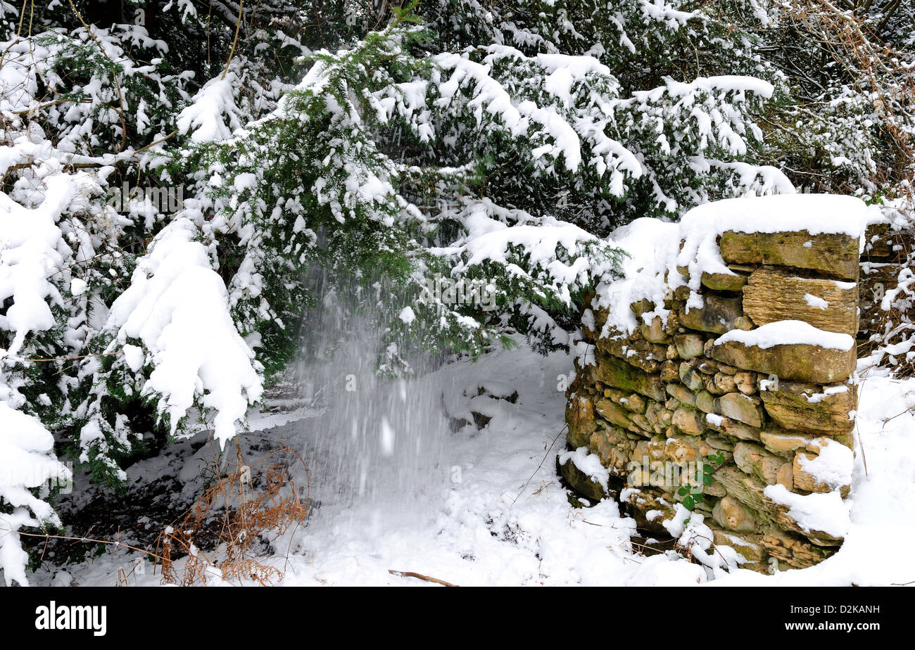 Alten verfallenen Stein Wand und Nadelbaum Bäume mit Schnee, der noch von seinen Ästen bedeckt. Stockfoto