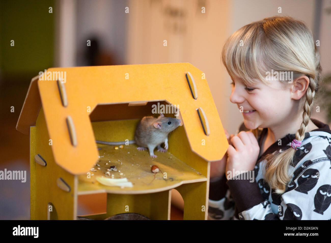 Berlin, Deutschland, spielt Mädchen mit einer zahmen Ratte Stockfoto