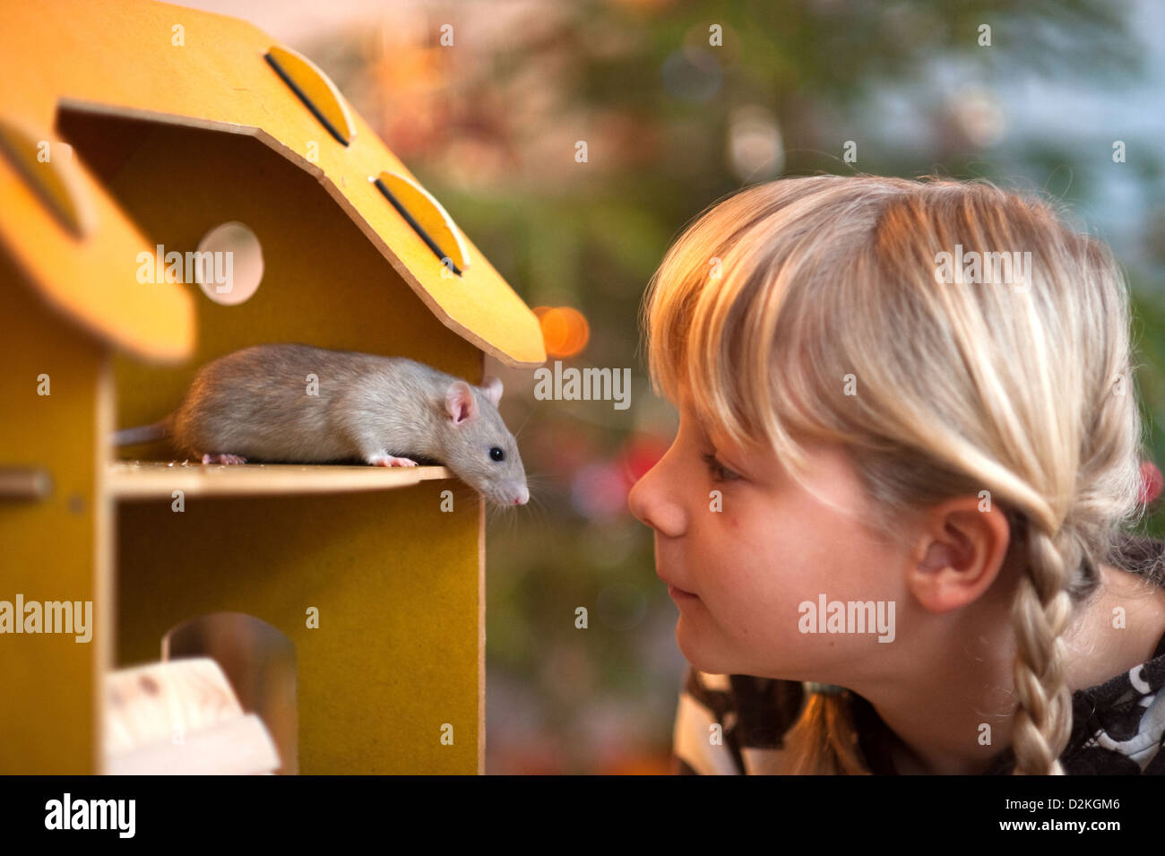 Berlin, Deutschland, Mädchen mit einer zahmen Ratte Stockfoto