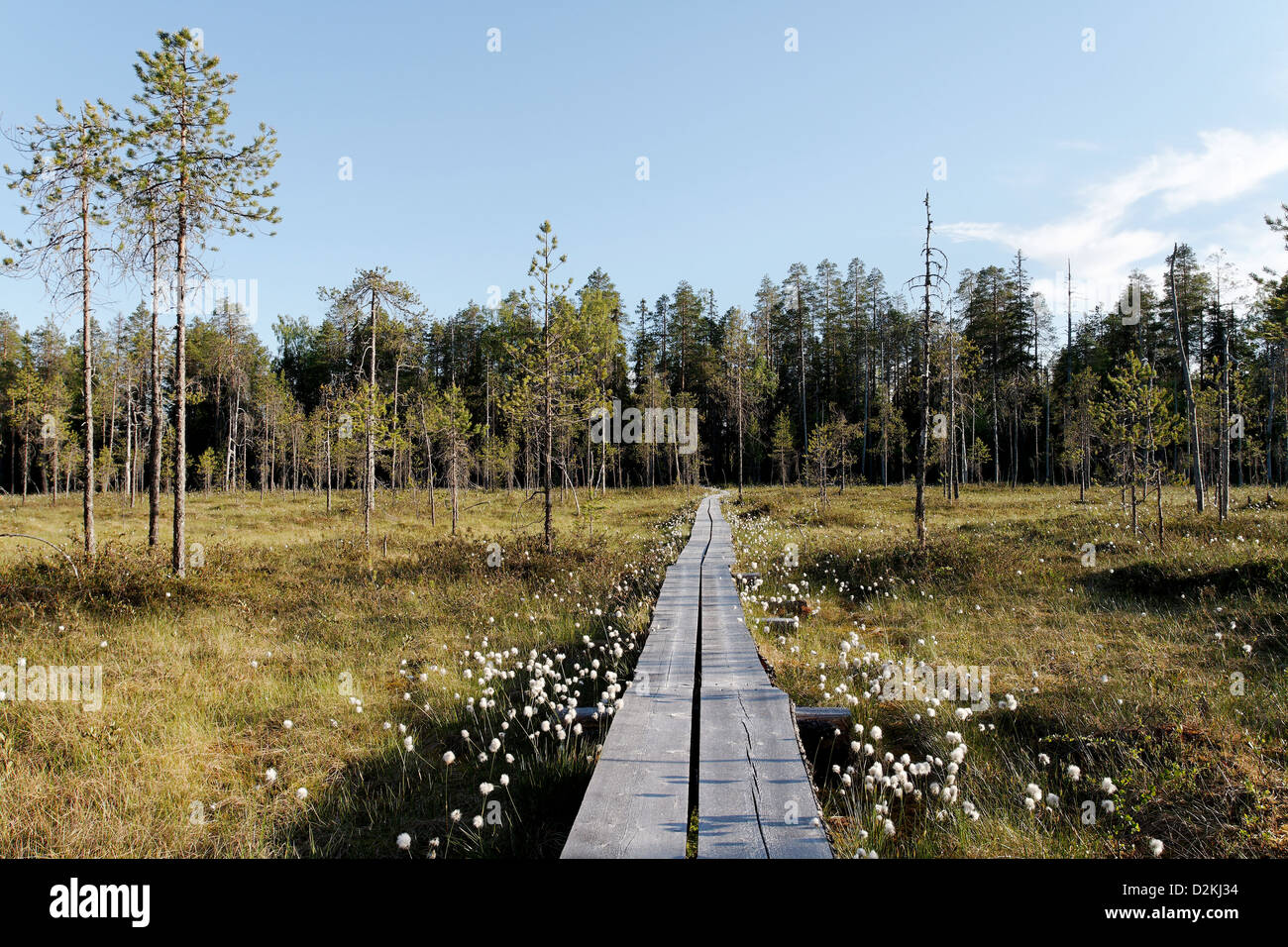 Elimyssalo Nature Reserve, Finnland Stockfoto