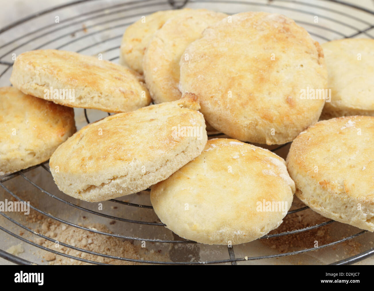 Frisch gebackene Scones oder Kekse, auf einem Kuchengitter abkühlen Stockfoto