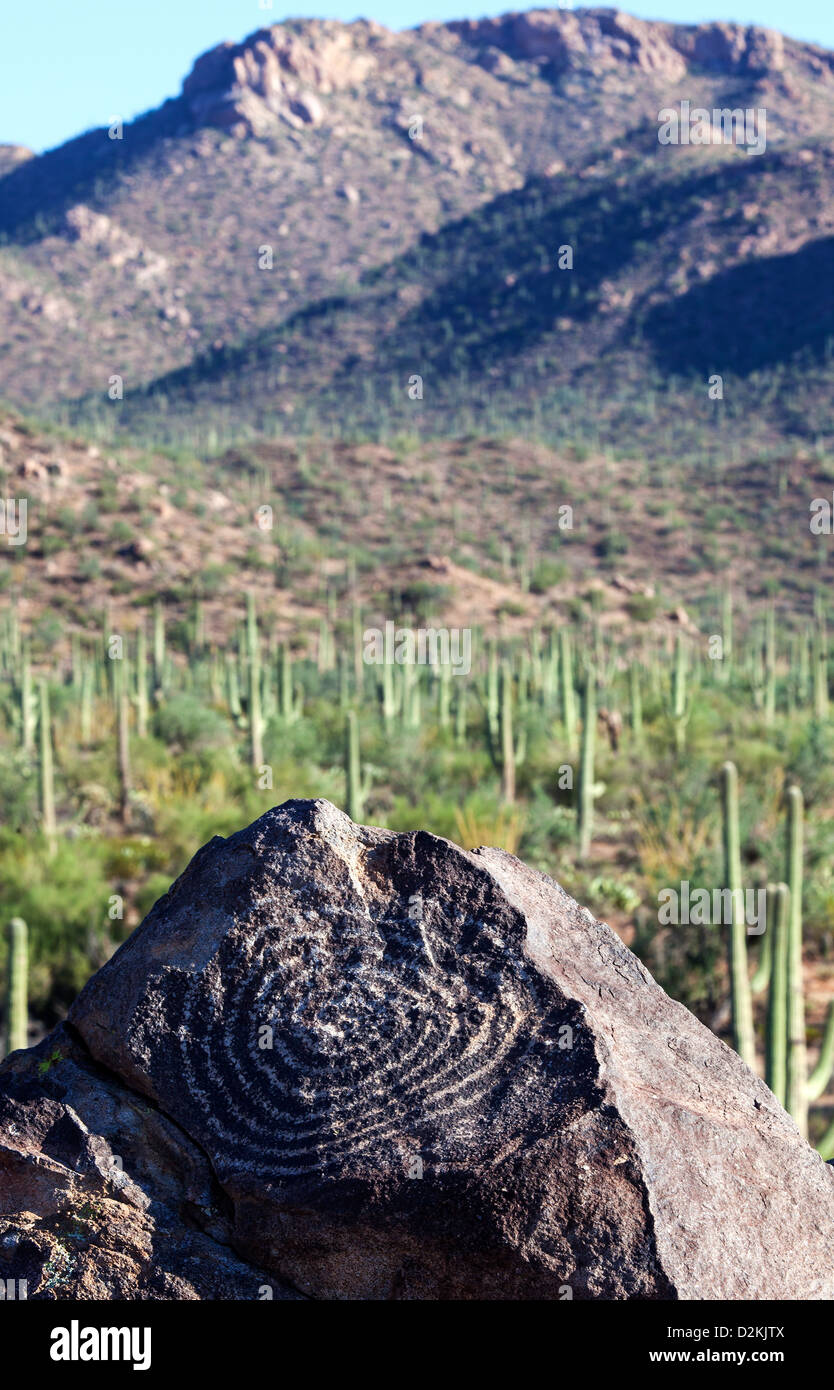 Felsmalereien Sie in Saguaro N.P, Arizona, USA Stockfoto