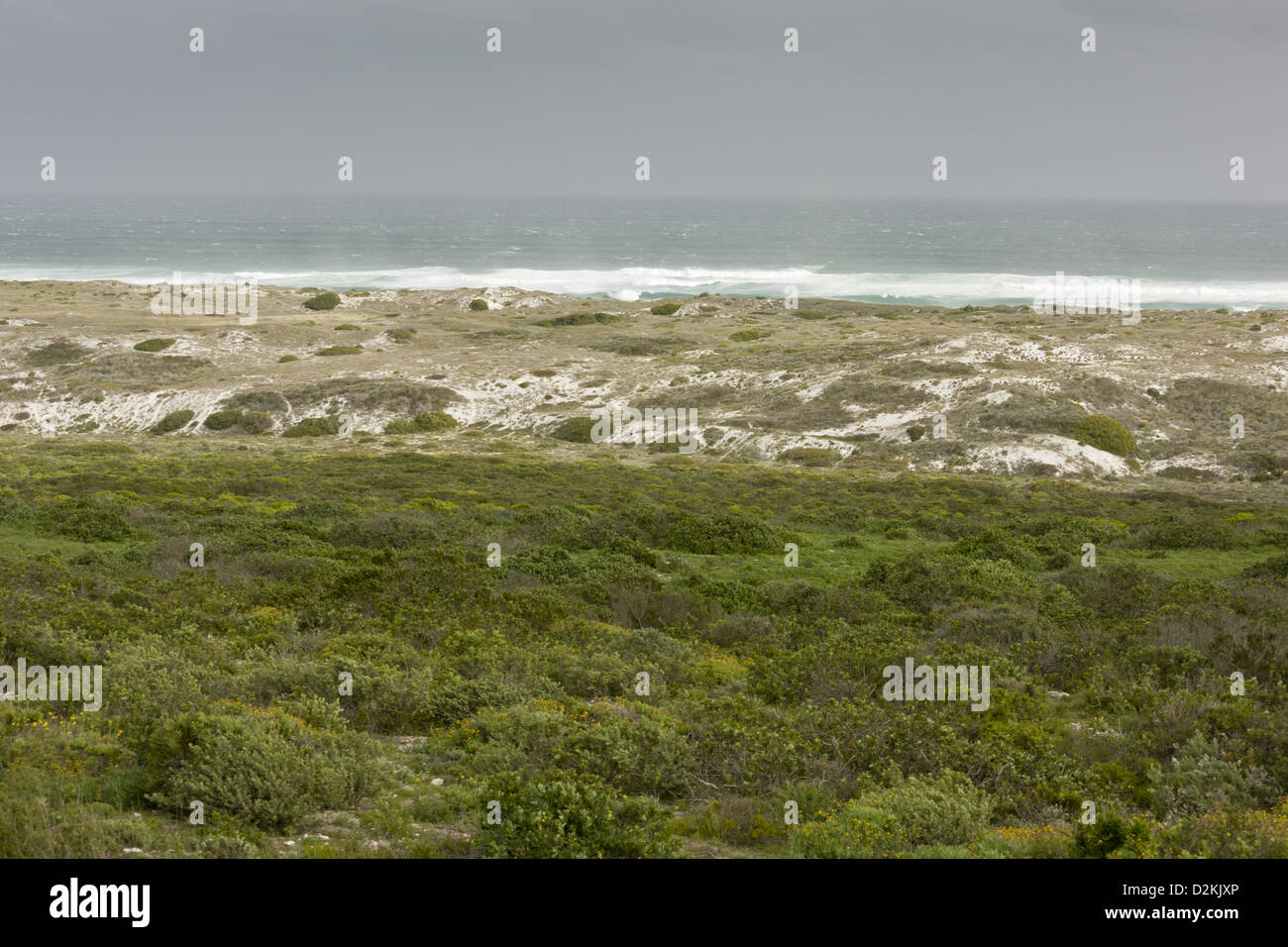 Teilweise begrünt hohen Dünen an der Westküste in der West Coast National Park, Südafrika Stockfoto