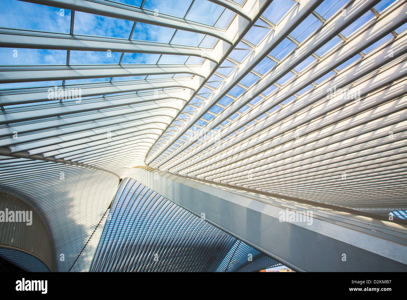 Der Bahnhof von Lüttich, Gare de Liège-Guillemins, entworfen vom spanischen Architekten Santiago Calatrava. Lüttich, Wallonien, Belgien Stockfoto