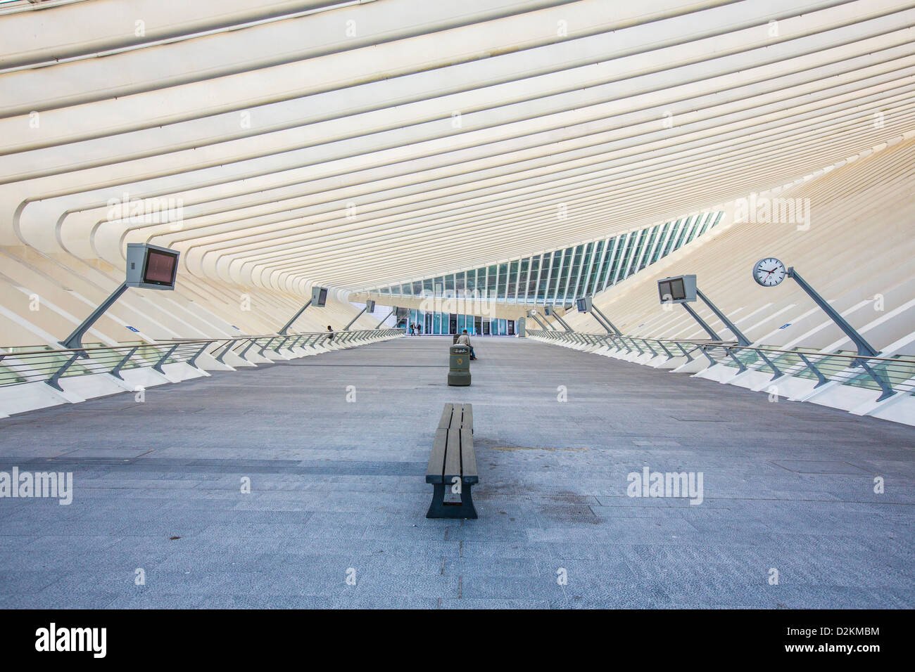 Der Bahnhof von Lüttich, Gare de Liège-Guillemins, entworfen vom spanischen Architekten Santiago Calatrava. Lüttich, Wallonien, Belgien Stockfoto