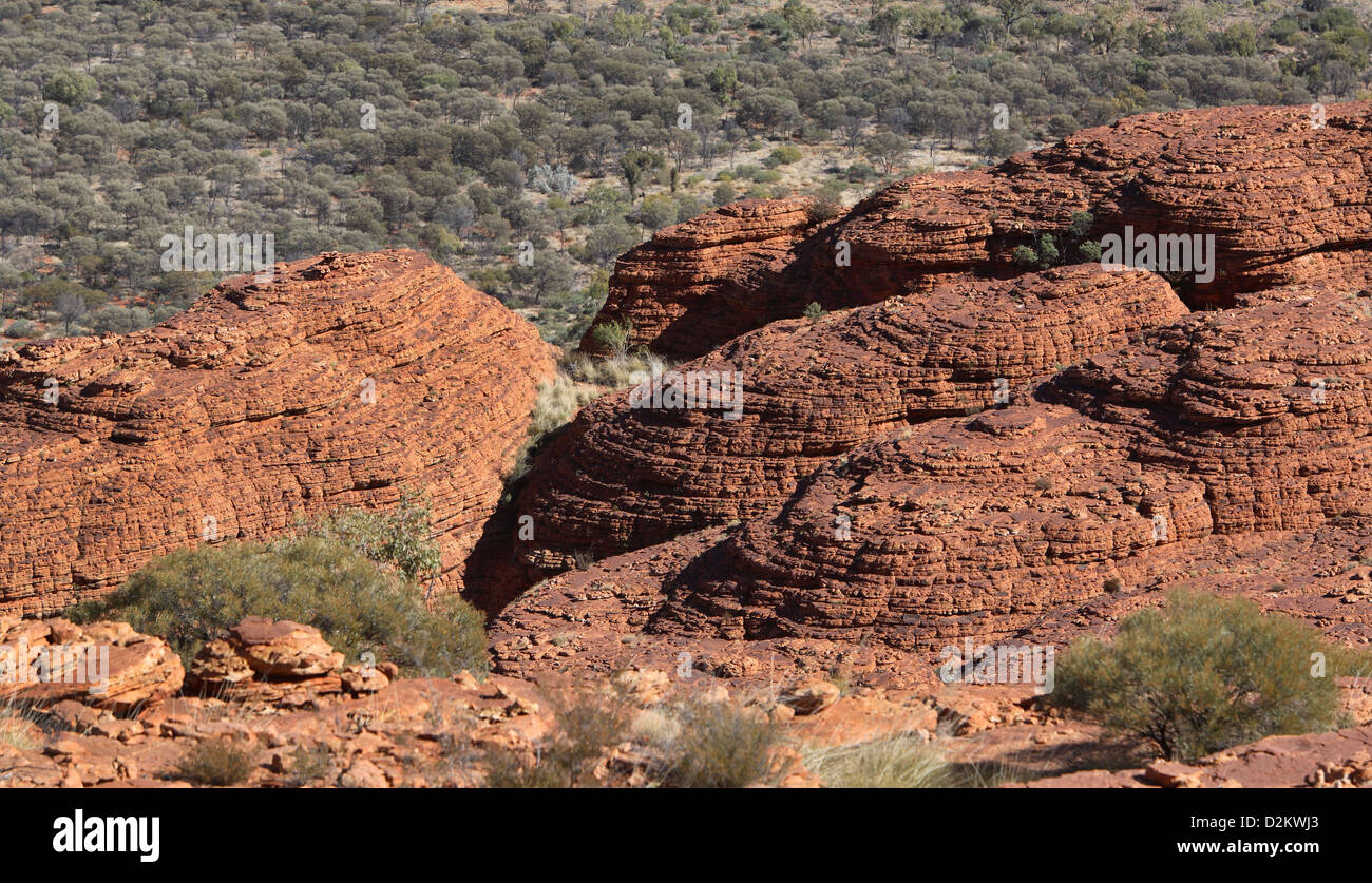 Felsformationen am Kings Canyon. Watarrka National Park, Zentral-Australien. Stockfoto