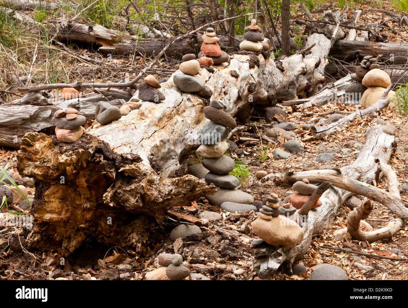 Stapel von Steinen auf einem toten Baumstamm am Buddha Beach in der Nähe von Cathedral Rock in West Sedona, Arizona, USA Stockfoto