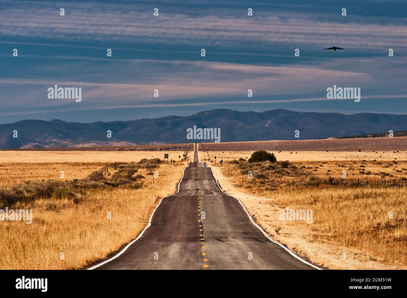 Tularosa Berge gesehen vom Highway 12 in Ebenen von San Agustin, 40 Meilen entfernt, in der Nähe von Datil, New Mexico, USA Stockfoto