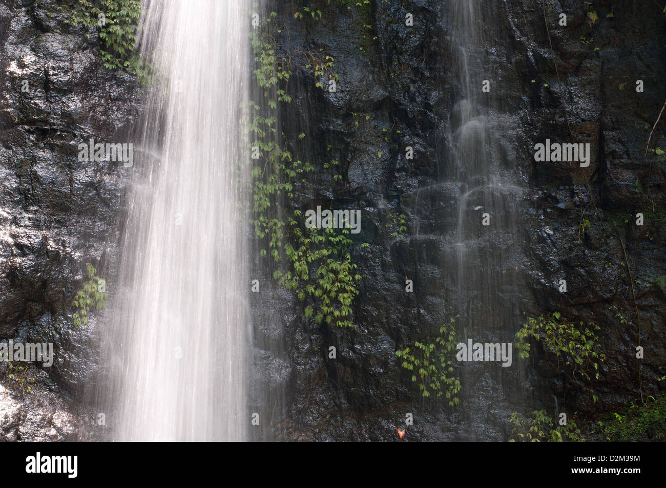 Nandroya Falls Schaltung Stockfoto