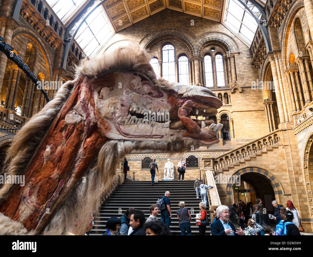 Eingang Centarl Halle des Natural History Museum mit plastinierten Kamel Stockfoto