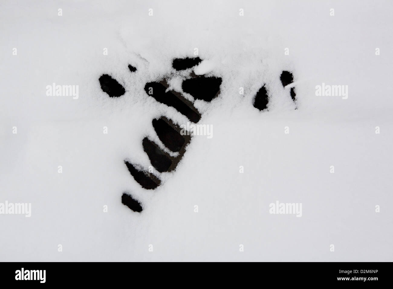 Schnee legt und deckt eine Straße in Kidlington, Oxfordshire, England, eine aus Gusseisen Drain Rinne Abdeckung ist Gerste sichtbar. Stockfoto