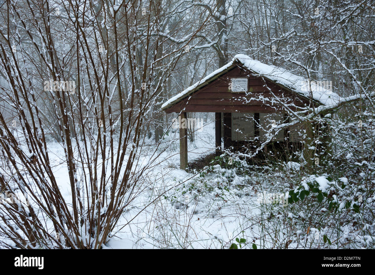 Eine Hütte oder Unterstand in einem Wald im Schnee im Winter Cambridgeshire UK. Das William Palmer Interpretative Center in Hayley Wood Stockfoto