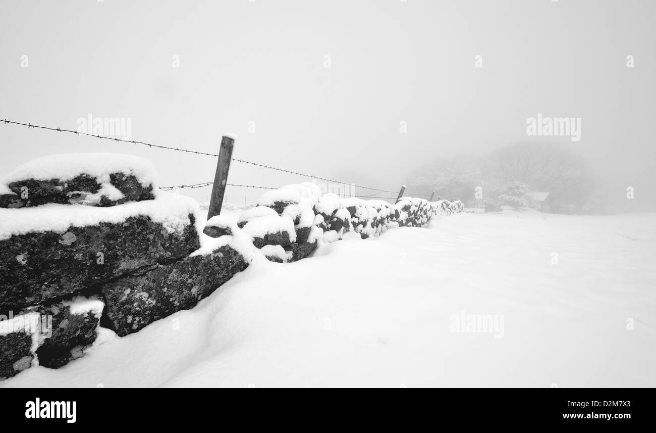 An einem nebligen Tag nach starkem Schneefall auf Dartmoor führen einer Steinmauer und Zaunlinie das Auge in einen Nebel gehüllt-Wald Stockfoto