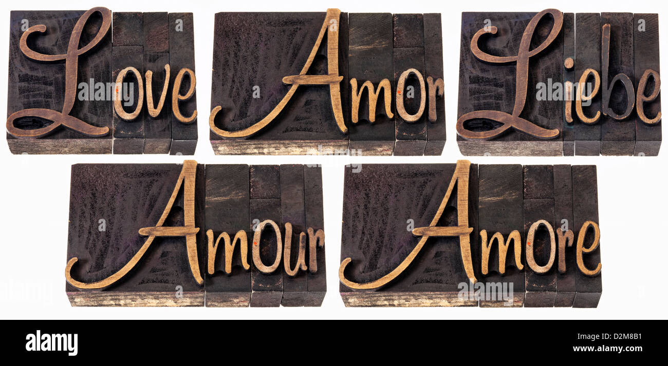 Liebe Wort in 5 Sprachen (Englisch, Spanisch, Deutsch, Französisch und Italienisch) - eine Collage aus isolierten Text in Vintage Holz-Art Stockfoto