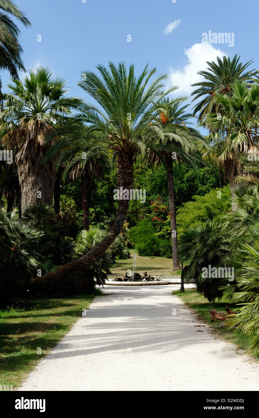 Rom. Italien. Allee der Palmen führen zu den Brunnen von Tritonen in der Orto Botanico di Roma oder Roms botanischen Garten. Stockfoto