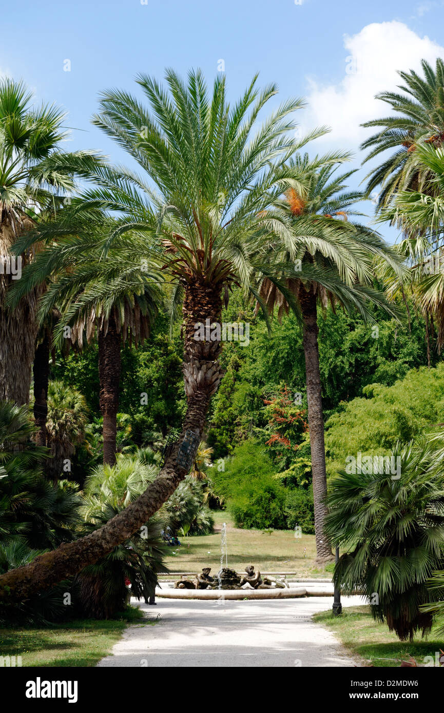 Rom. Italien. Allee der Palmen führen zu den Brunnen von Tritonen in der Orto Botanico di Roma oder Roms botanischen Garten. Stockfoto