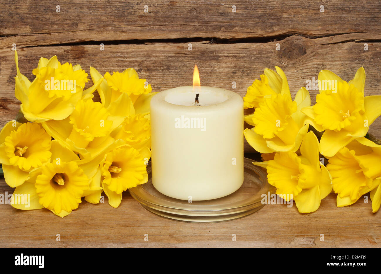Brennende Kerze umgeben von gelben Narzissen Blumen auf einem Hintergrund von alten verwitterten Holz Stockfoto